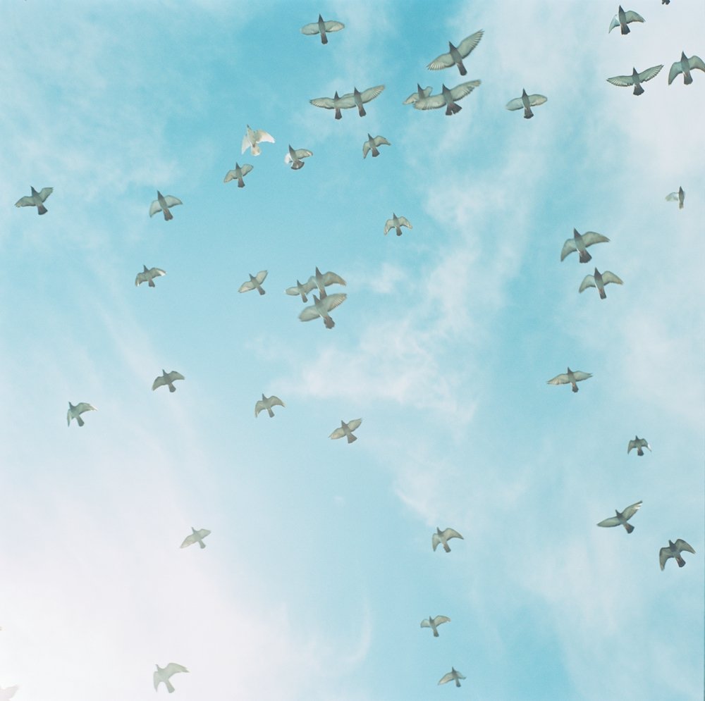 Rinko Kawauchi