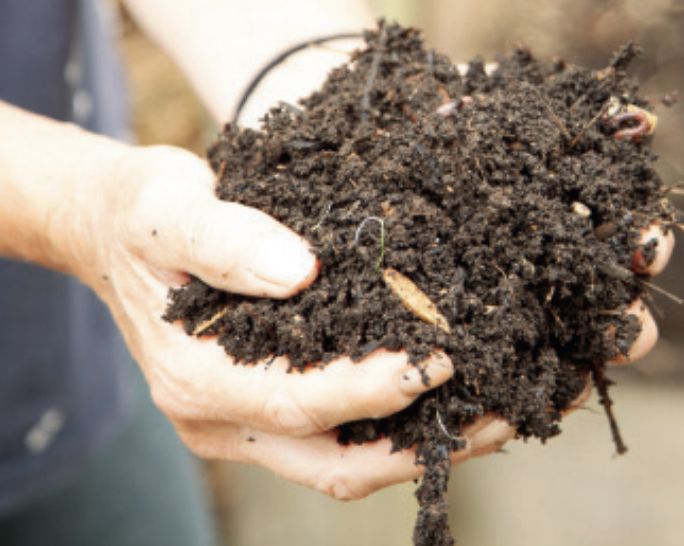 Cosmic Compost